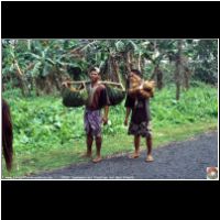 10016 Samoaner mit Fruechten aus dem Urwald_Text.jpg